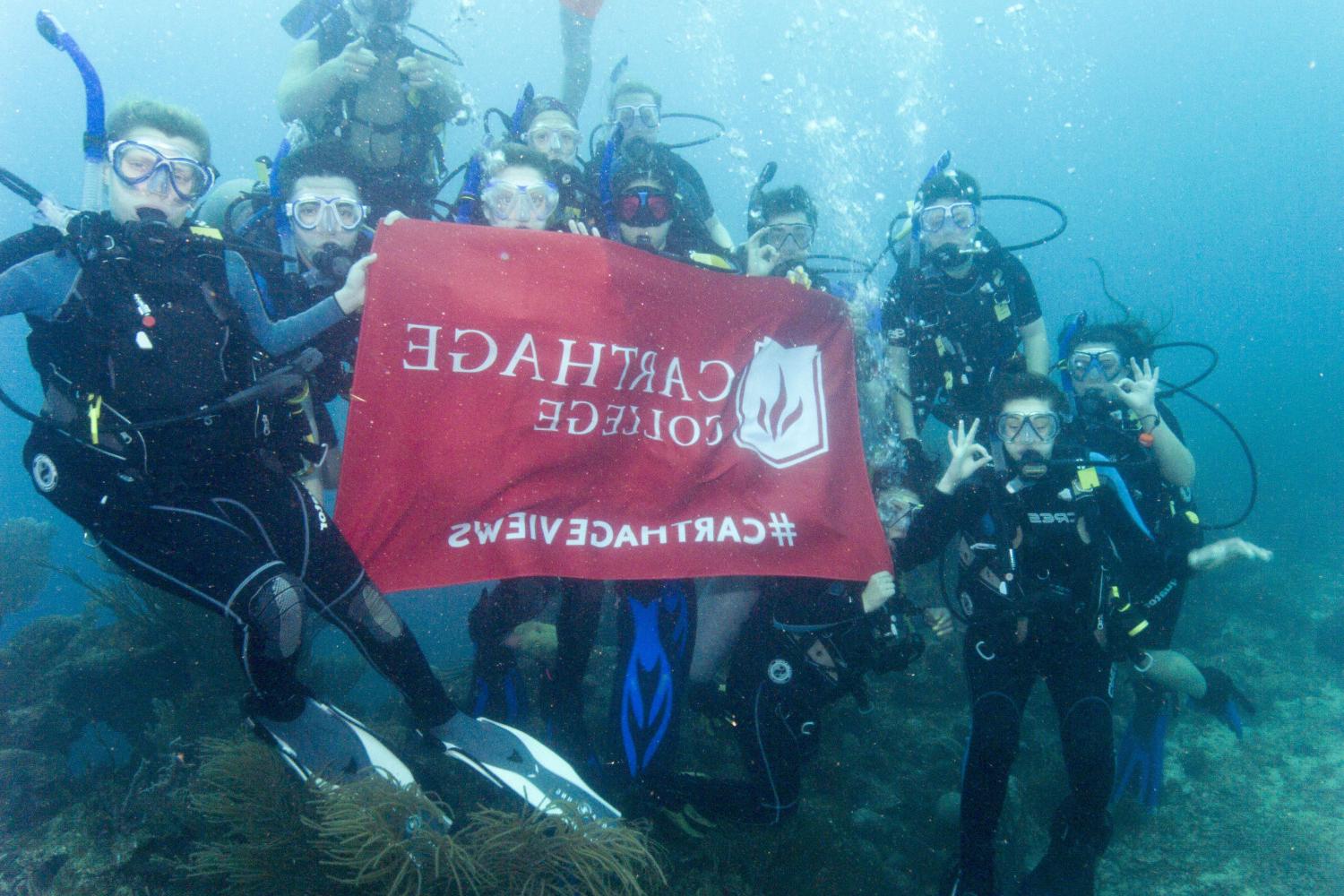 学生们手持<a href='http://x3hq.ngskmc-eis.net'>bv伟德ios下载</a>旗帜，在j学期洪都拉斯游学之旅中潜水.